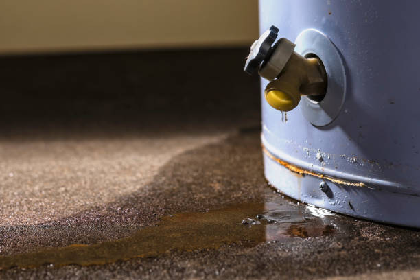 Best Sewage cleanup and water damage restoration  in Swansea, IL