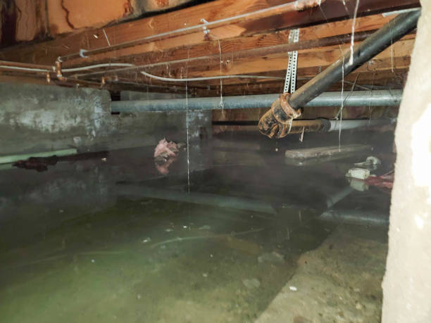 Best Residential water damage restoration  in Swansea, IL