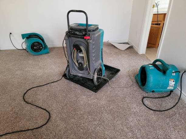 Best Commercial water damage restoration  in Swansea, IL