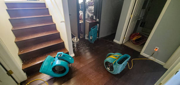 Best Flooded house restoration  in Swansea, IL