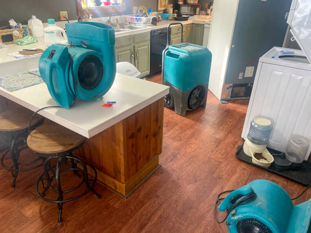  Swansea, IL Water damage restoration Pros