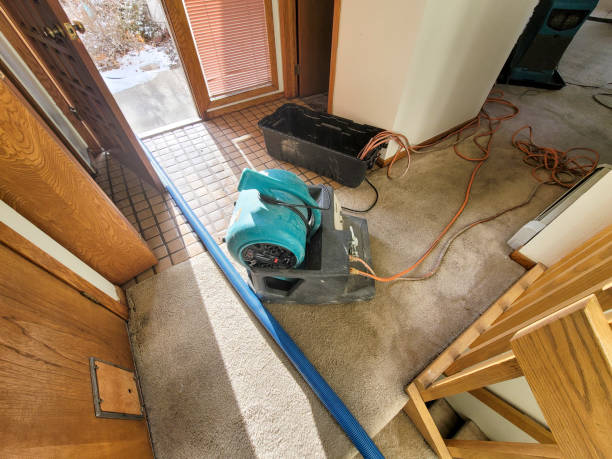 Best Ceiling water damage repair  in Swansea, IL