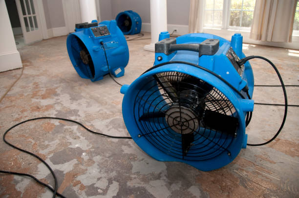 Best Mold removal after water damage  in Swansea, IL