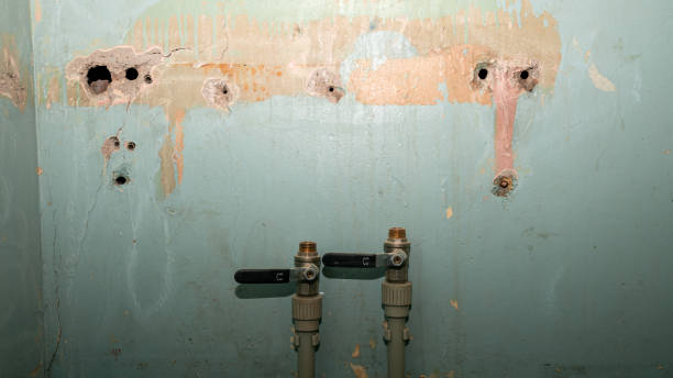 Best Sewage cleanup and water damage restoration  in Swansea, IL